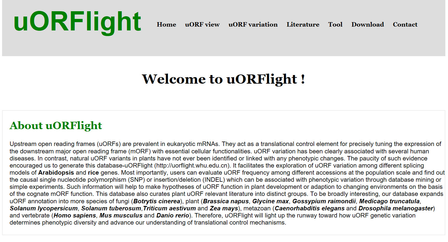 Database | uORFlight: a vehicle toward uORF-mediated translational regulation mechanisms in eukaryotes